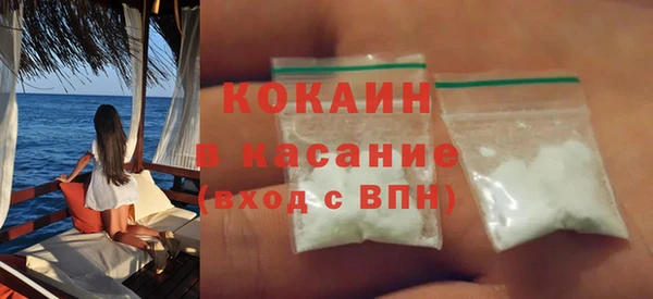 шишки Гусиноозёрск
