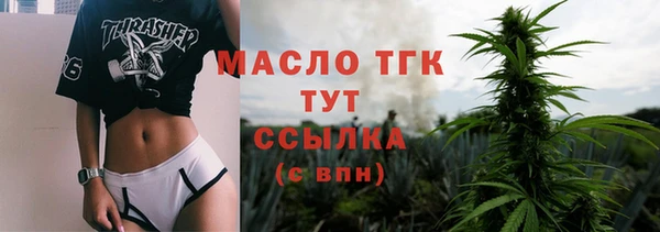 шишки Гусиноозёрск