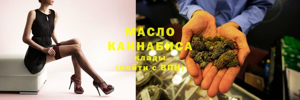 шишки Гусиноозёрск