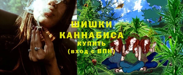 шишки Гусиноозёрск