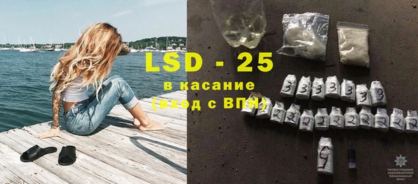 шишки Гусиноозёрск