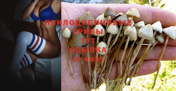 шишки Гусиноозёрск