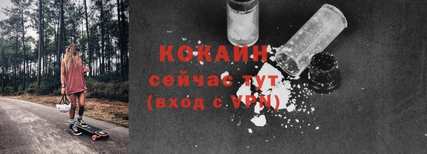 шишки Гусиноозёрск