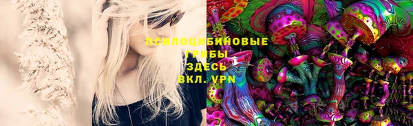 каннабис Гусев