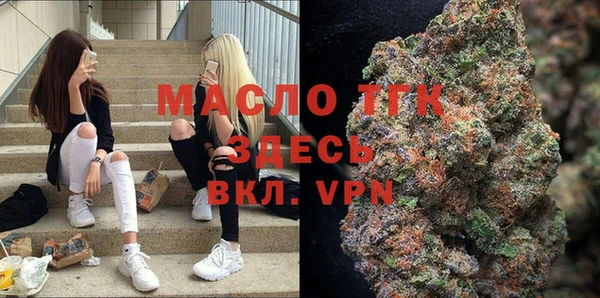 шишки Гусиноозёрск