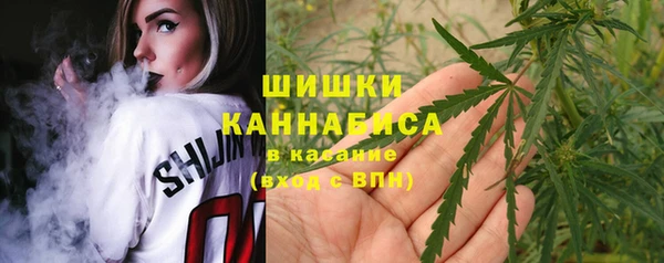 шишки Гусиноозёрск